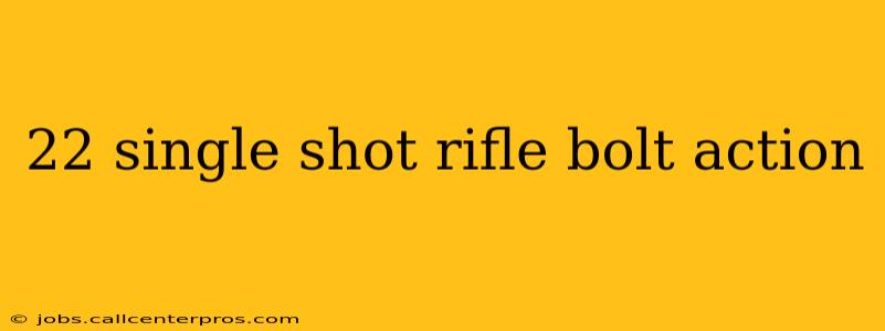 22 single shot rifle bolt action