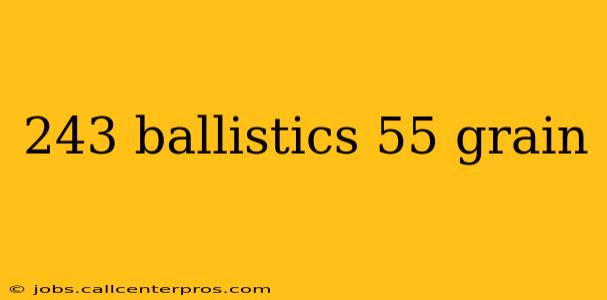 243 ballistics 55 grain