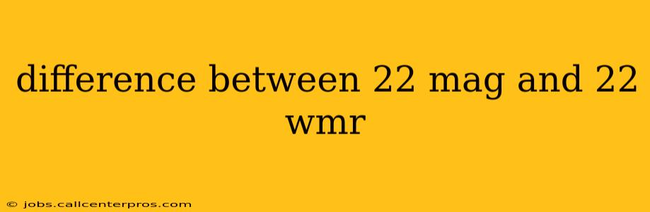 difference between 22 mag and 22 wmr